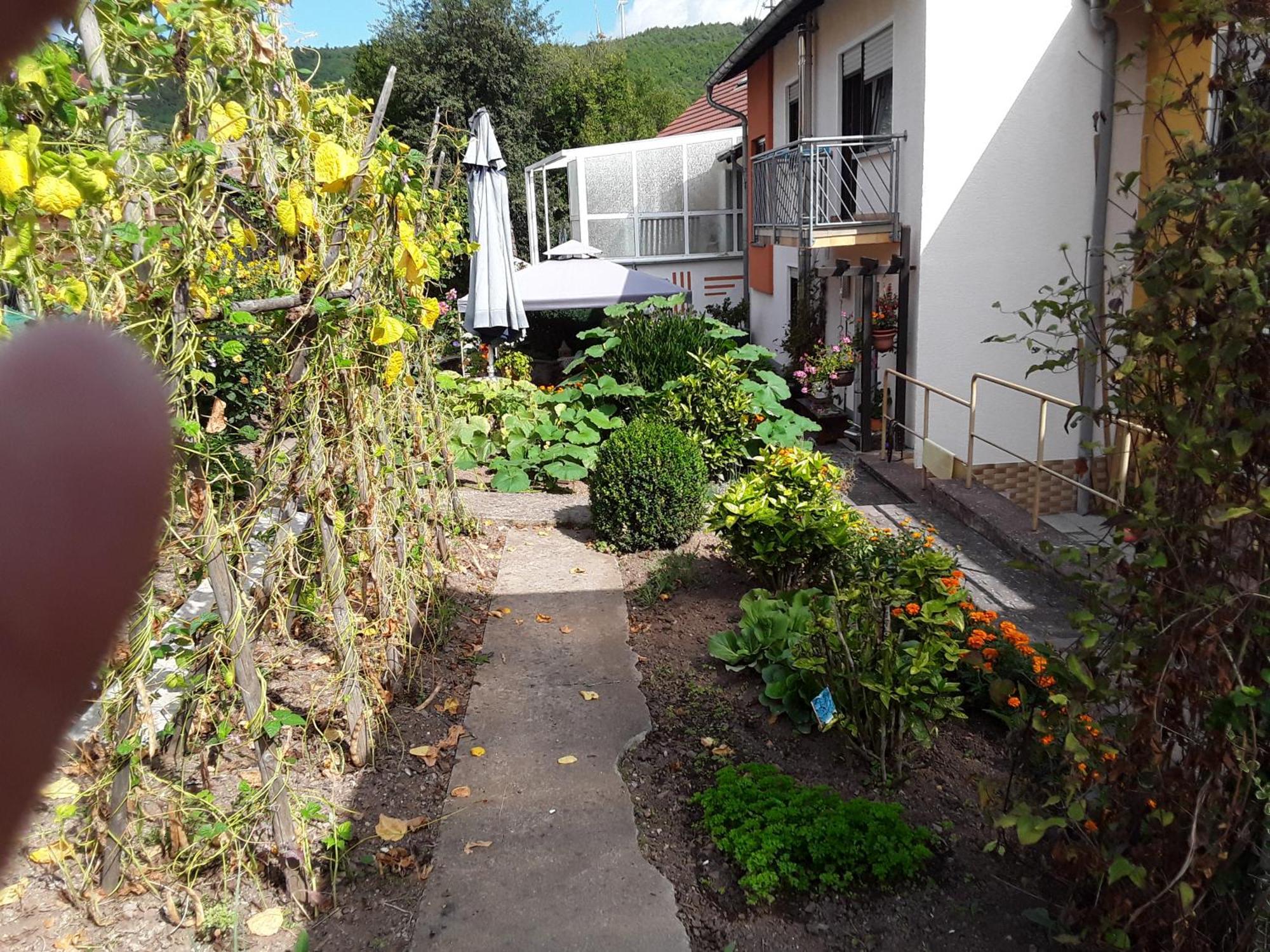 Haus Kallin Idar-Oberstein Exterior photo