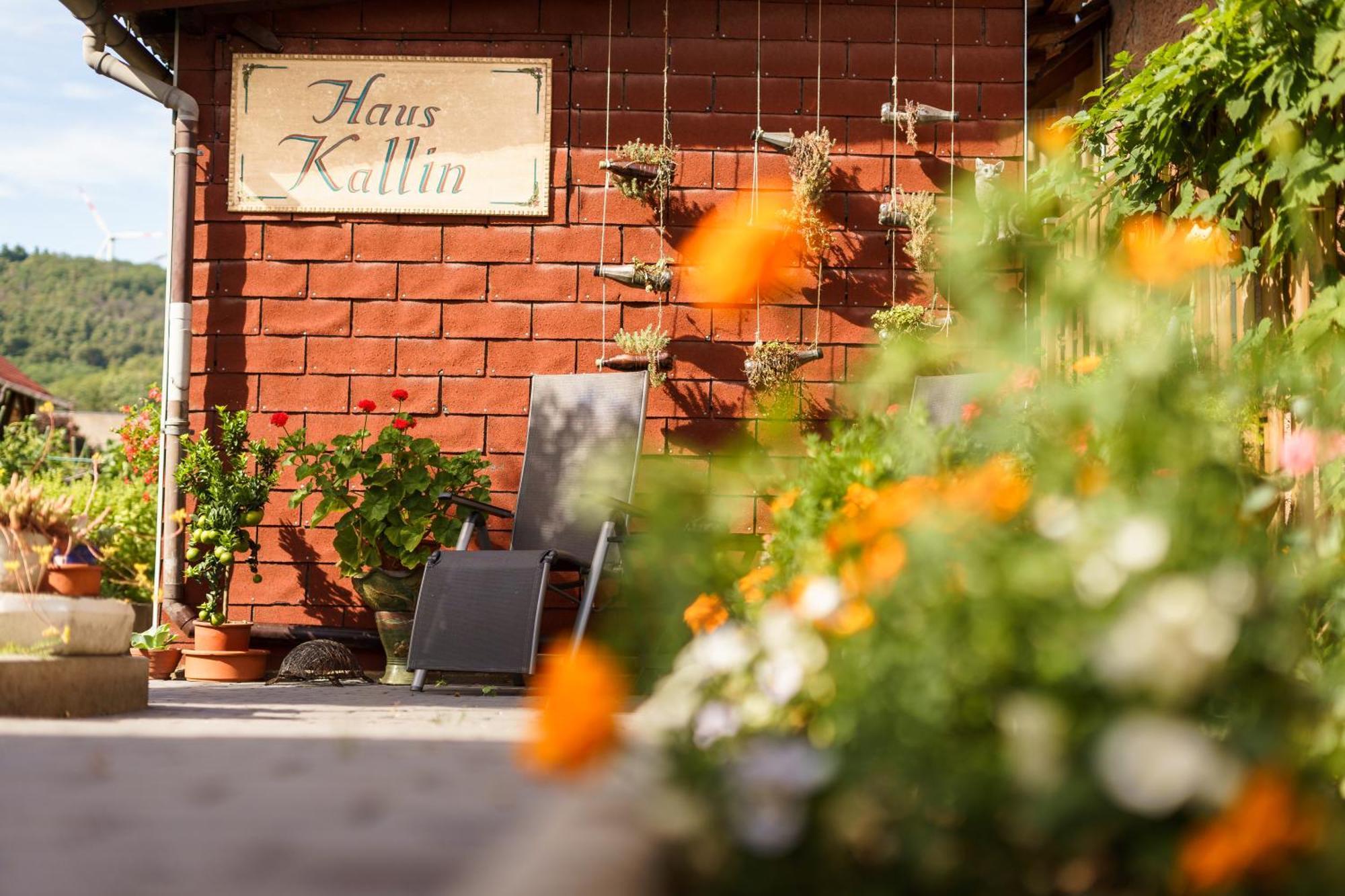 Haus Kallin Idar-Oberstein Exterior photo